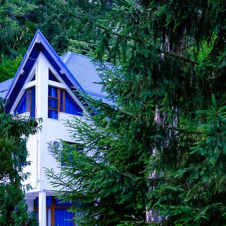 Hotel Parc Geoagiu Băi 외부 사진