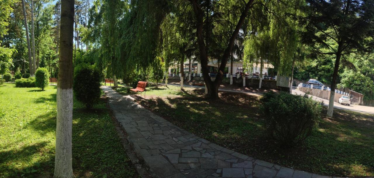 Hotel Parc Geoagiu Băi 외부 사진
