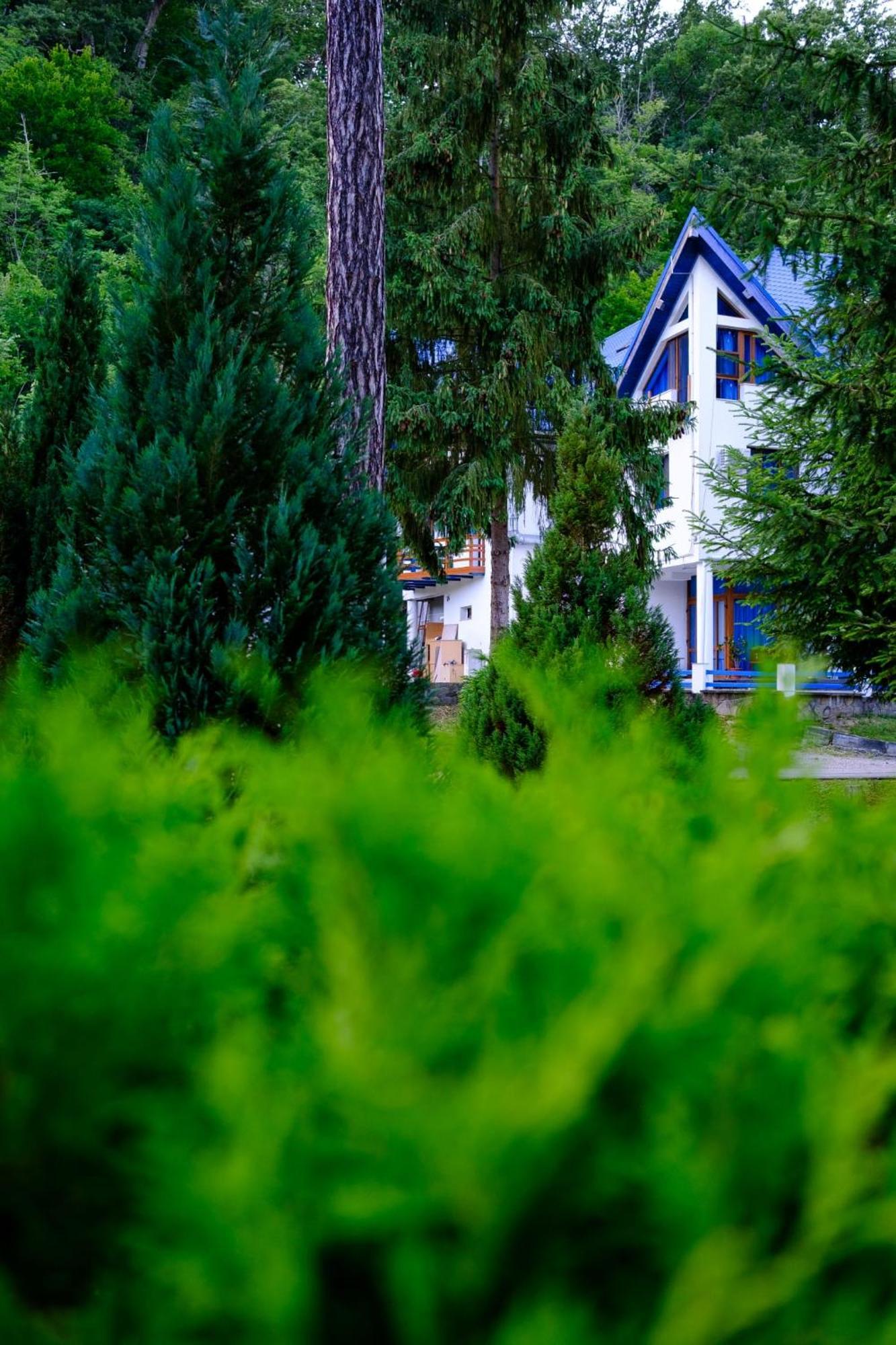 Hotel Parc Geoagiu Băi 외부 사진